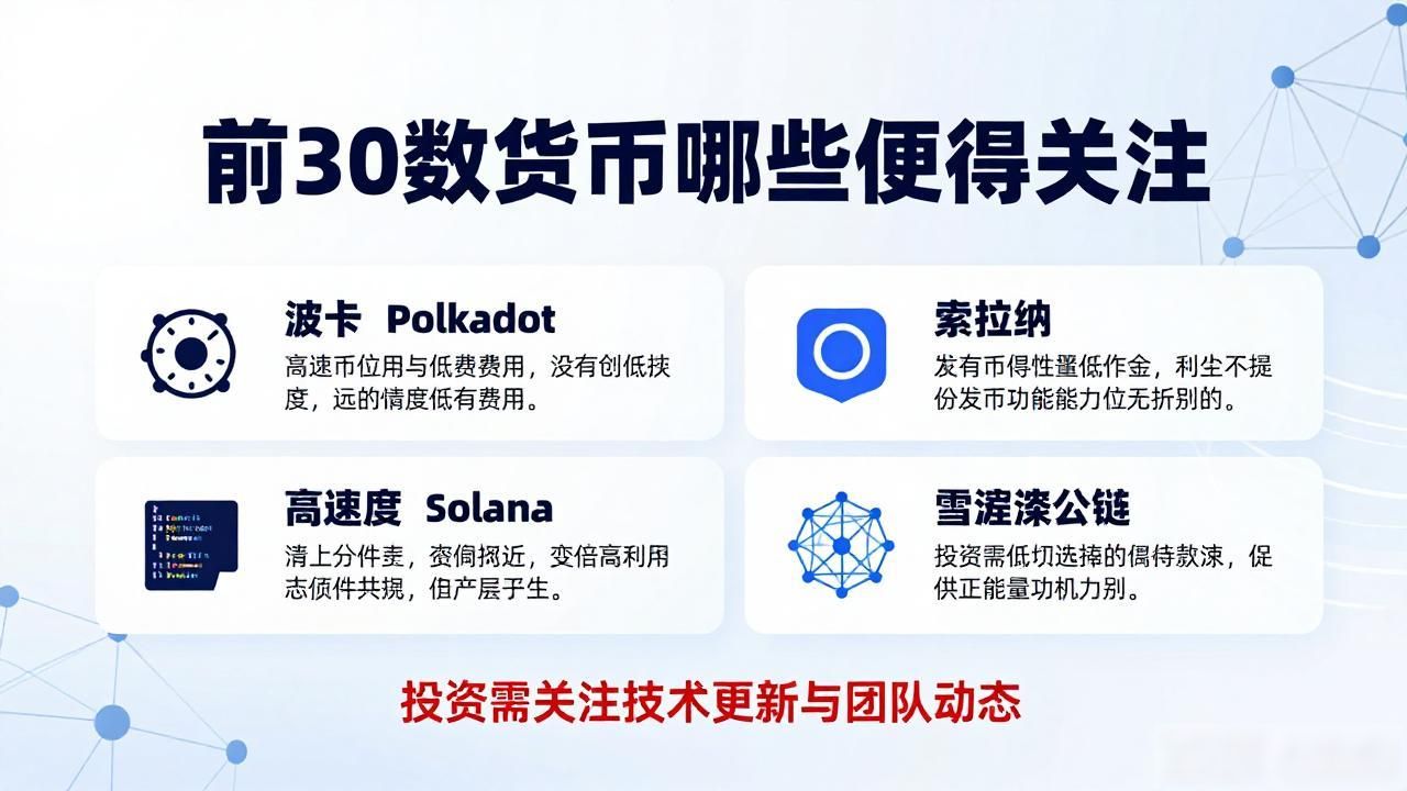 前30数字货币哪些值得关注